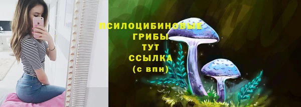 mdpv Ладушкин