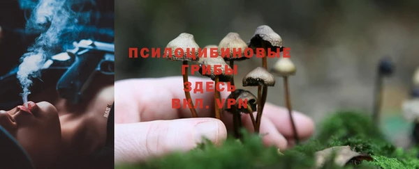 mdpv Ладушкин