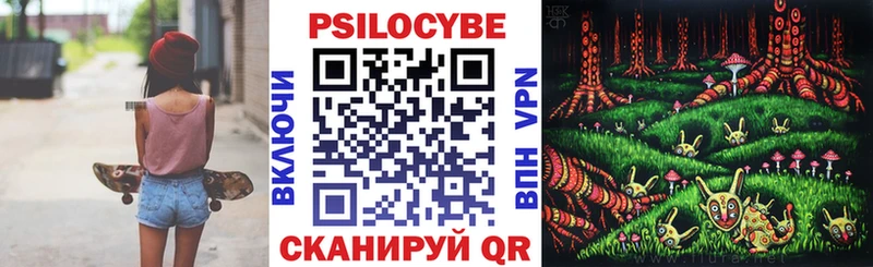 Псилоцибиновые грибы GOLDEN TEACHER  Луга 