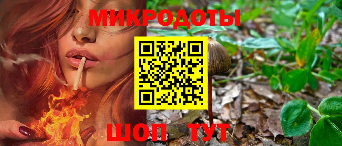 Галлюциногенные грибы мицелий  Вход с VPN  купить закладку  Луга 
